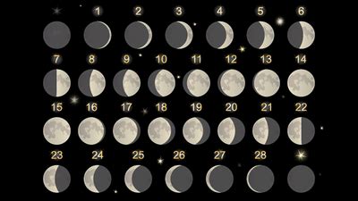 Mondphasenkalender, Vollmonde im Jahr 2022 .